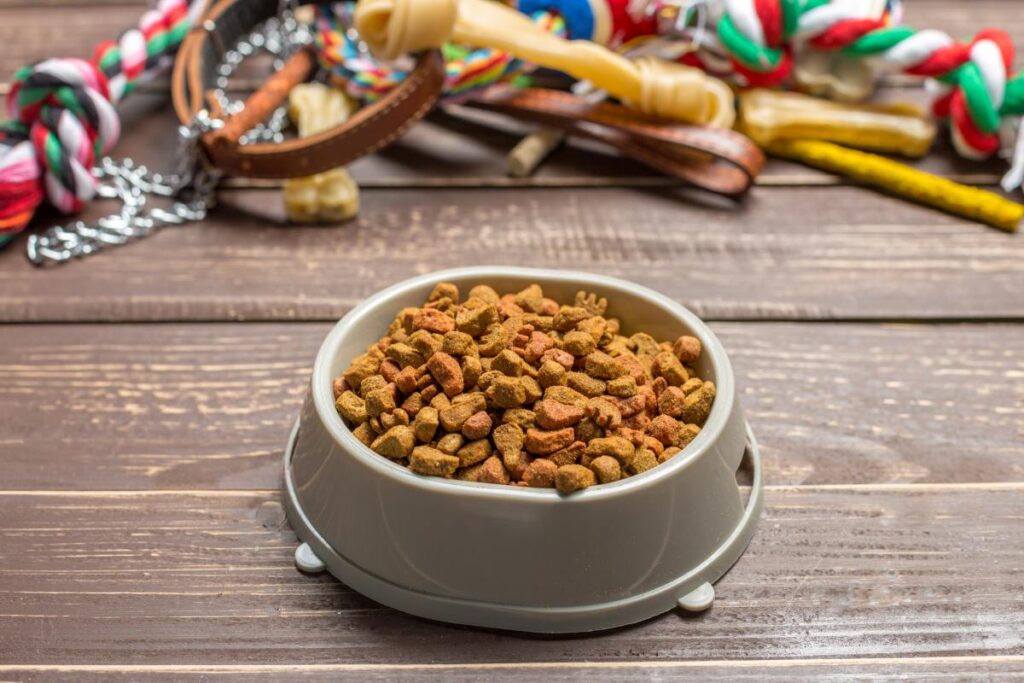 Czy psa można karmić wyłącznie suchą karmą